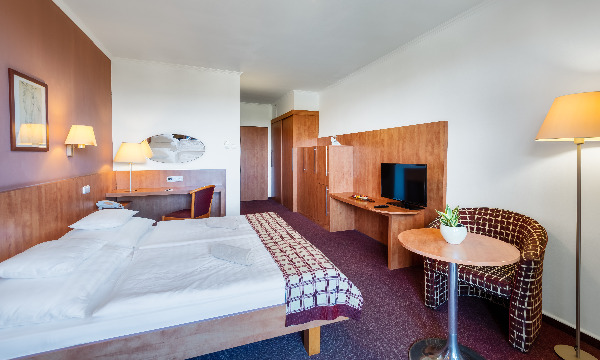 Hunguest Hotel Pelion, Classic double room (without balcony)