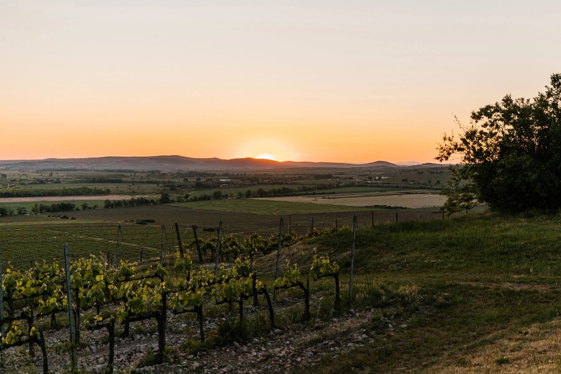 Andrássy Kúria & Spa - Tarcal - Programok